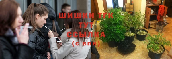 индика Мегион