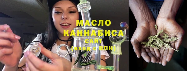 индика Мегион