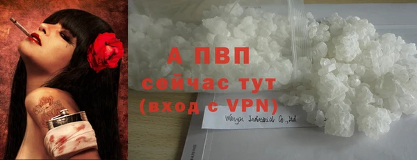 стаф Михайловск