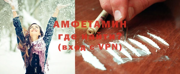 индика Мегион