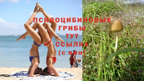 стаф Михайловск
